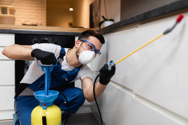 Pest Prevention Services in Dover Beaches South, NJ