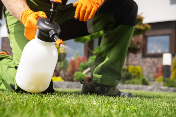 Best Bed Bug Extermination  in Dover Beaches South, NJ