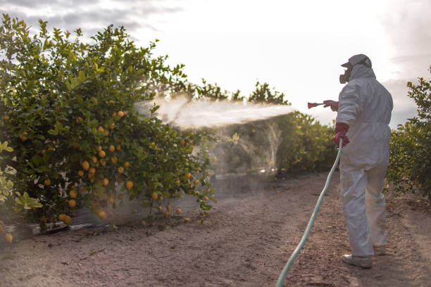 Best Bed Bug Extermination  in Dover Beaches South, NJ