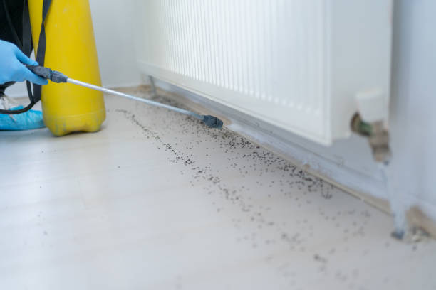Best Affordable Pest Control Services  in Dover Beaches South, NJ