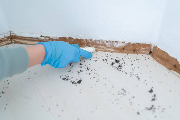 Best Commercial Pest Control Services  in Dover Beaches South, NJ